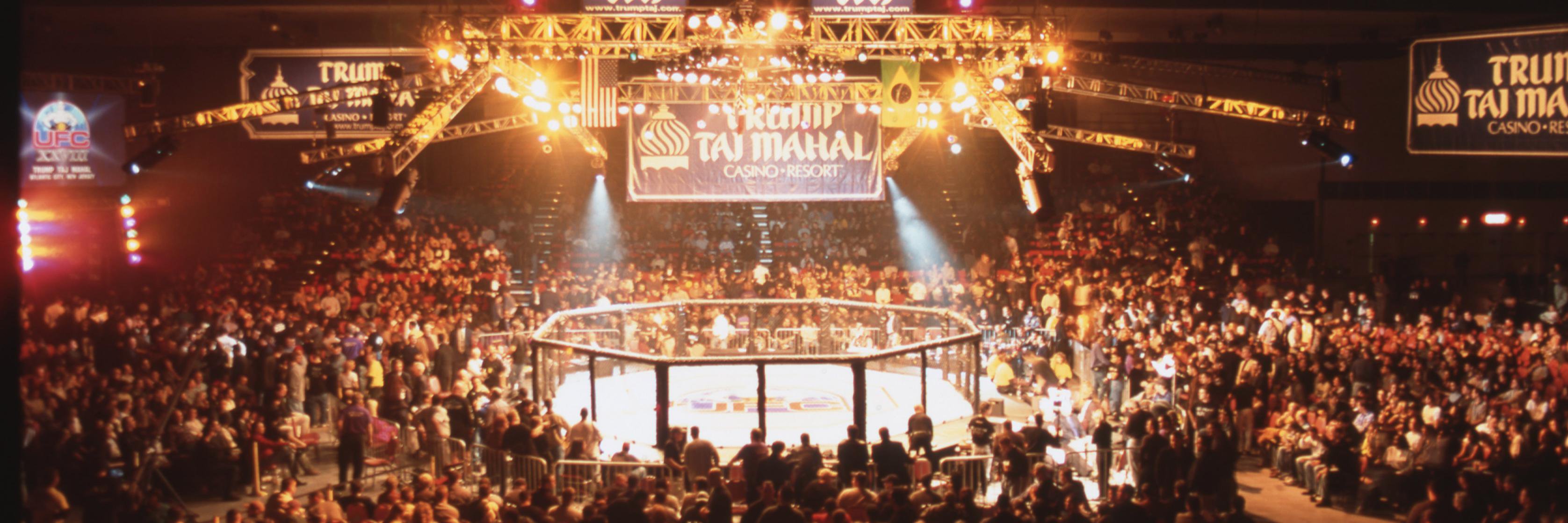 TheFightNerd's profile banner image
