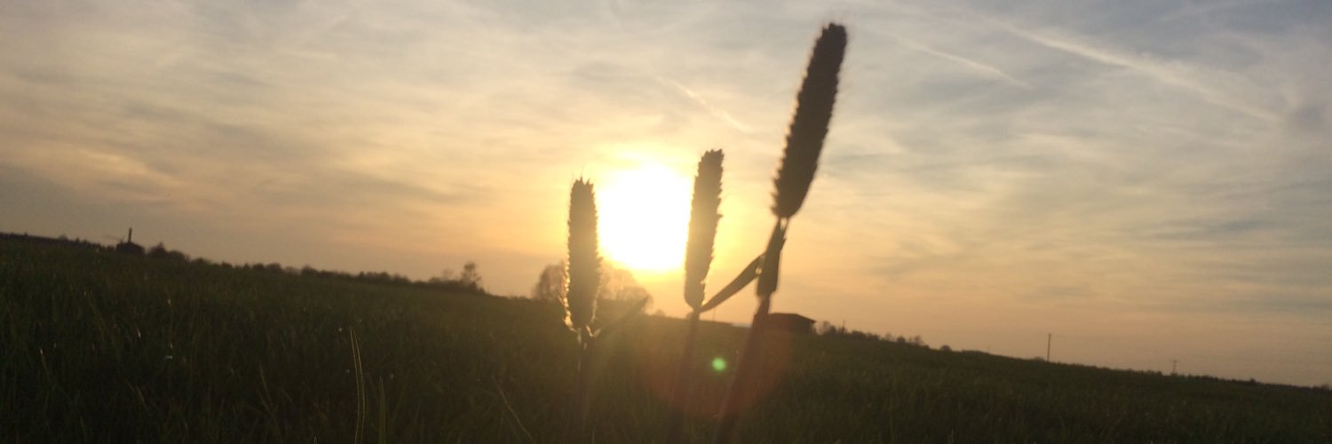 KatySeilide's profile banner image