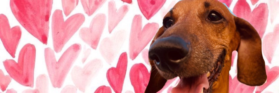 Chule_sa's profile banner image