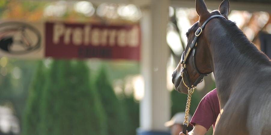 Preferred Equine banner
