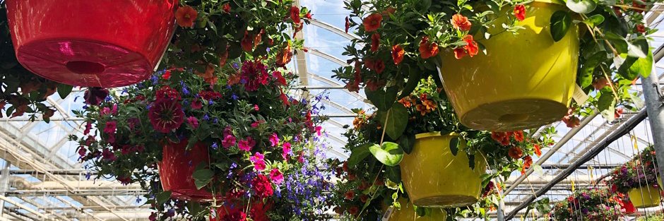 Blue Grass Garden Centre Red Deer banner