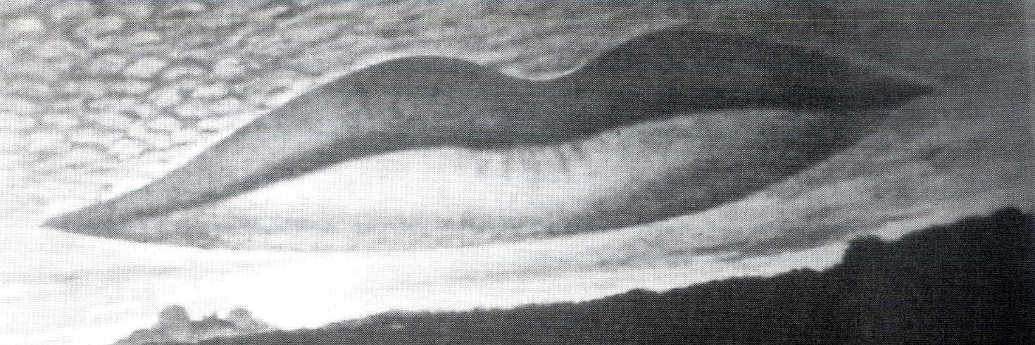 Sam Walker-Smart banner