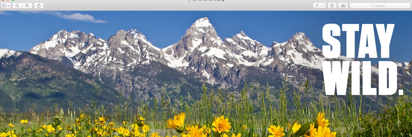 Visit Jackson Hole banner