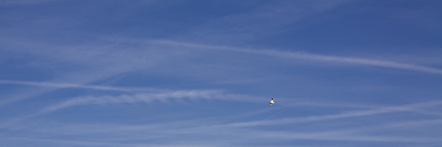 NOSIMILE's profile banner image
