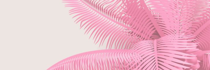 chiaasyiah's profile banner image