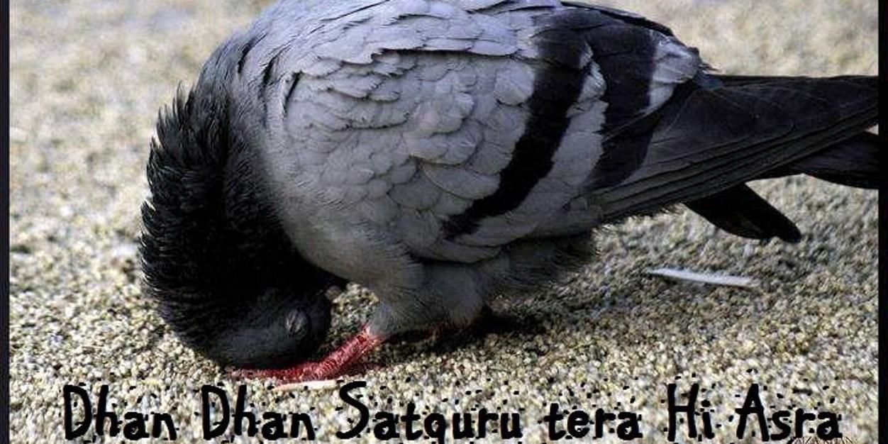 इंसान संदीप आज़ाद banner