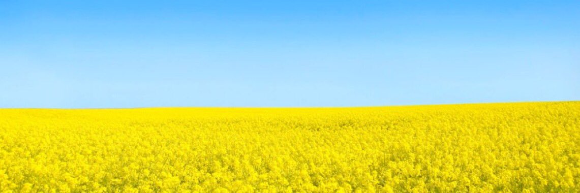 Alessandra Mariotti banner