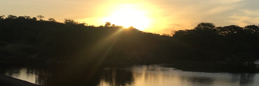 Julianocsoares's profile banner image