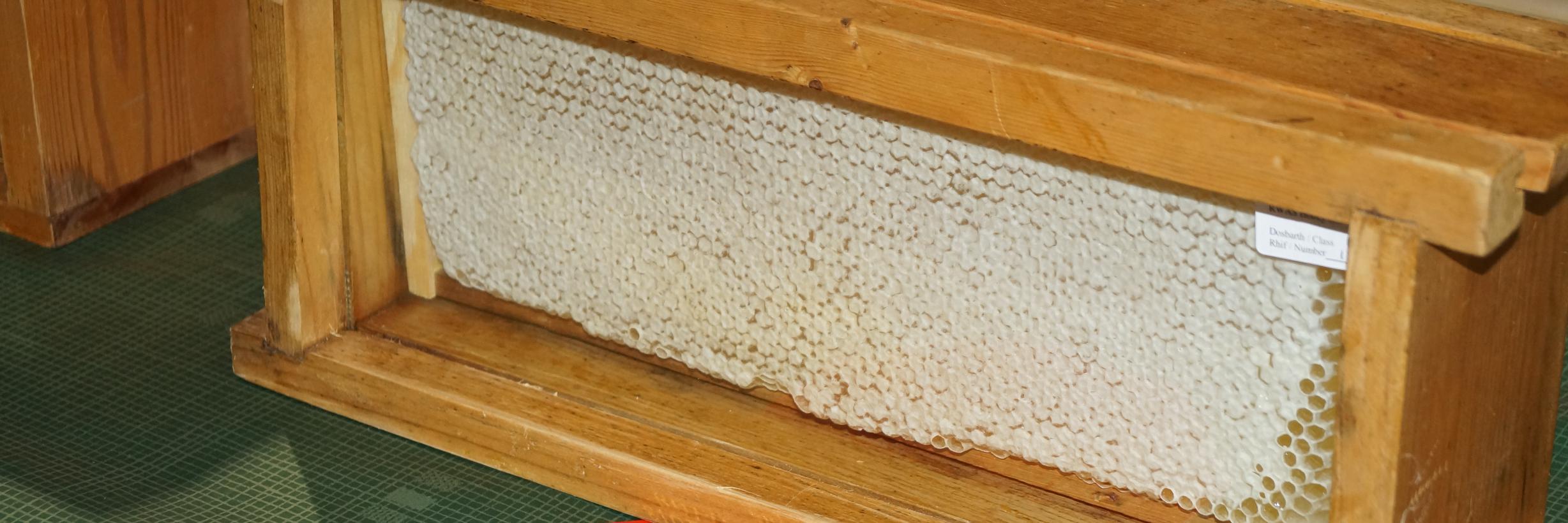 Cardiff Beekeepers banner