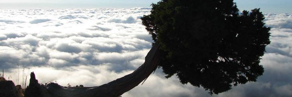 s_ghaidaa's profile banner image