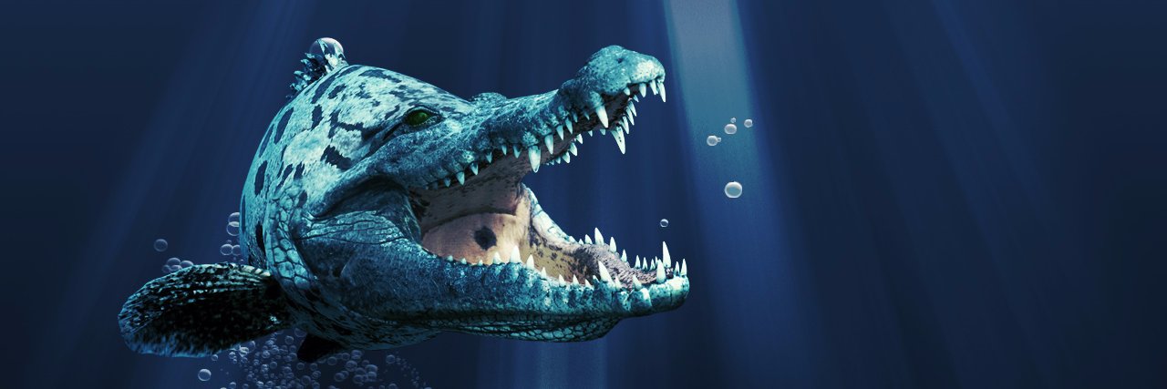 _bilge_e's profile banner image