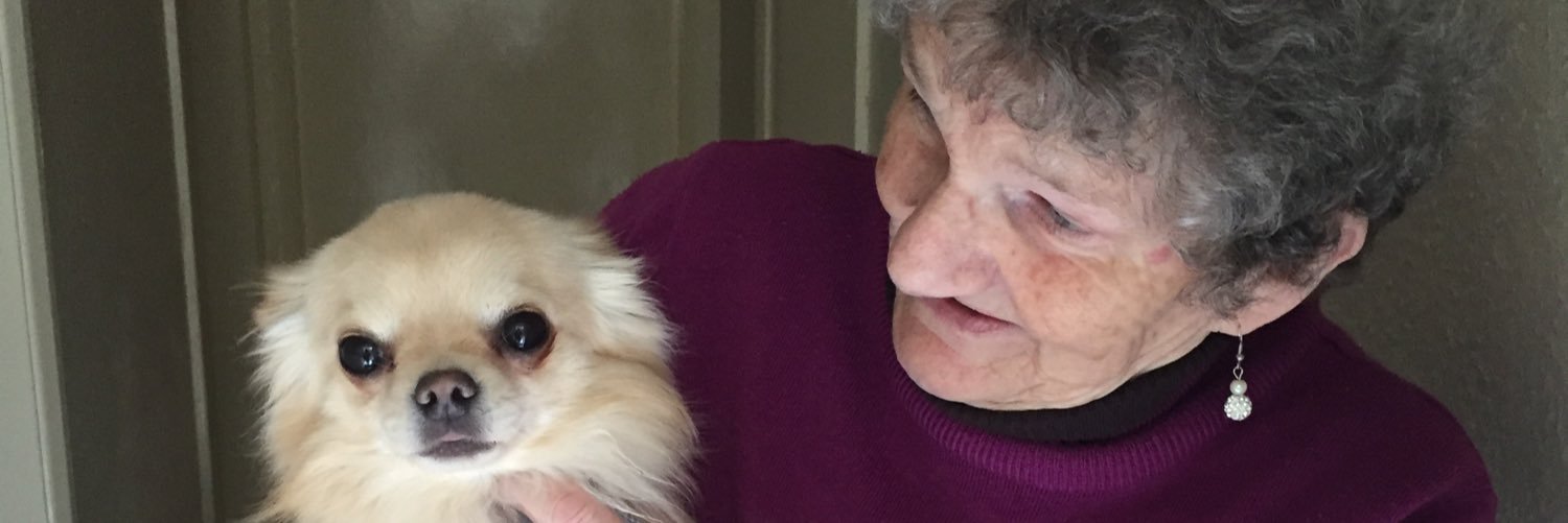 pariswhisson's profile banner image