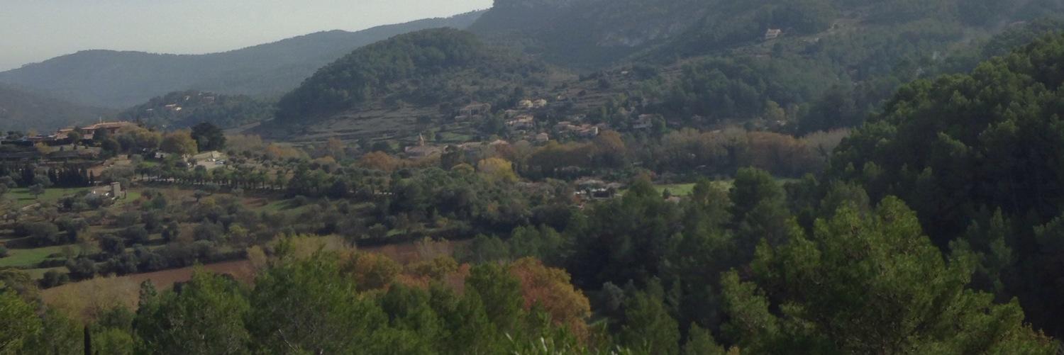 CarlosCasta9's profile banner image