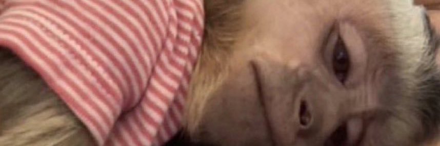 caroledp99's profile banner image