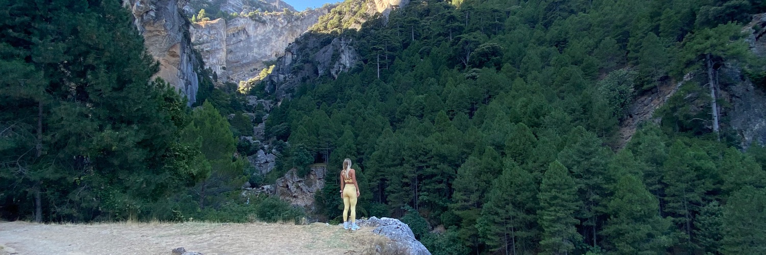 IreeneLuque's profile banner image