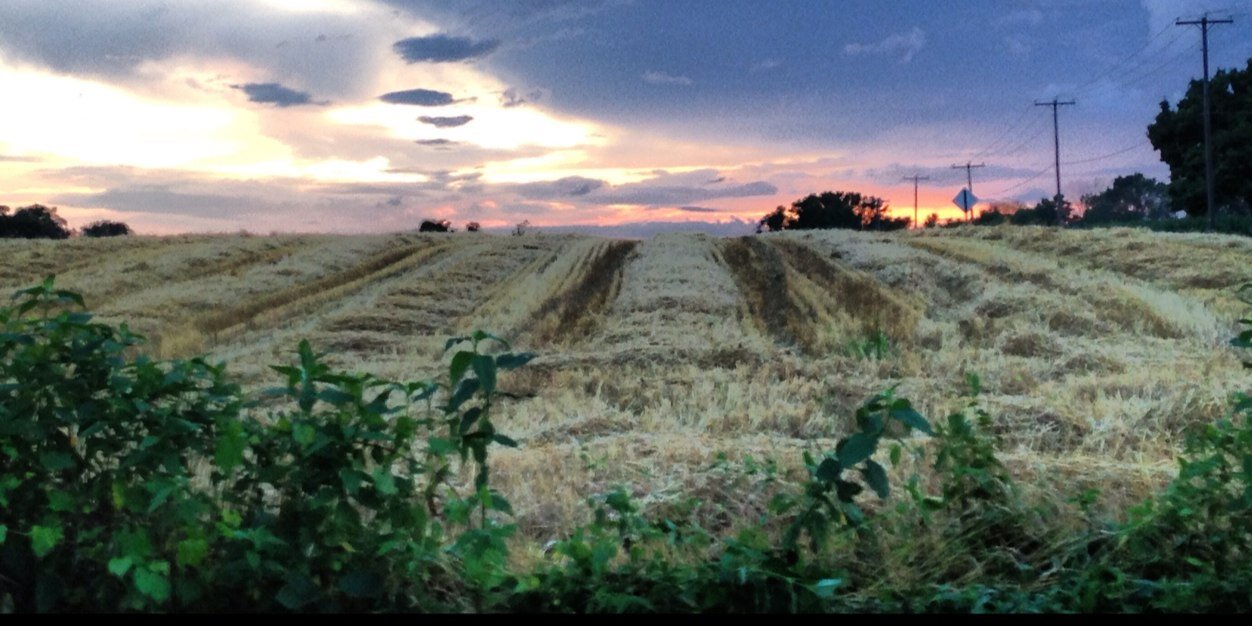 Lam_Sandis's profile banner image