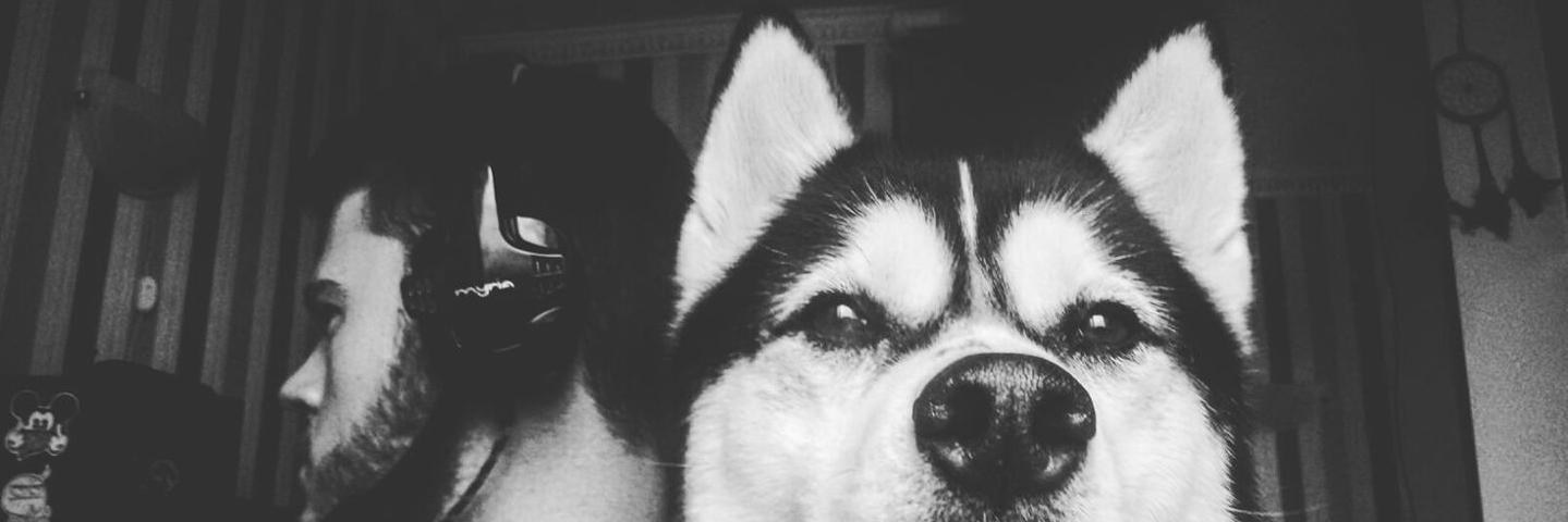 FloreMihai's profile banner image