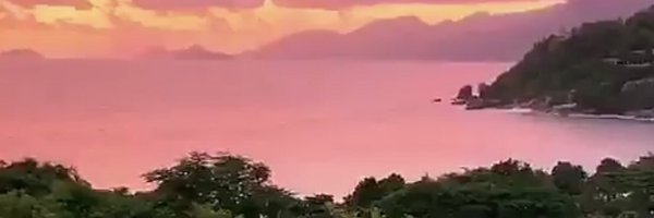 Malaanzii Profile Banner