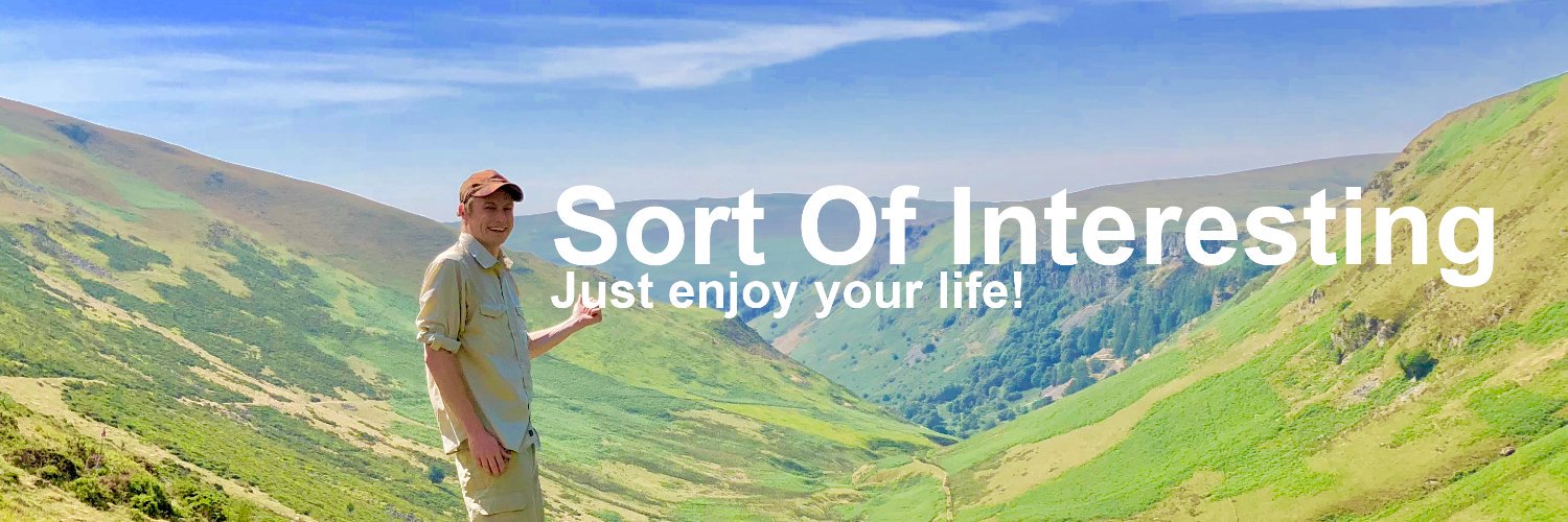 Sort Of Interesting's banner