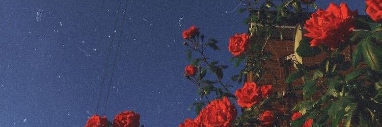 memo0o_211's profile banner image