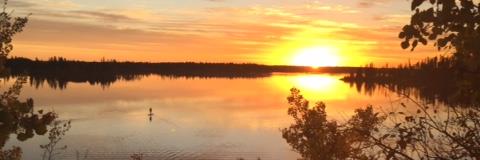 Renee_Dubya's profile banner image
