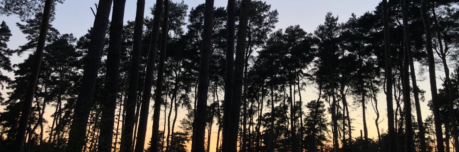 dspeckss's profile banner image