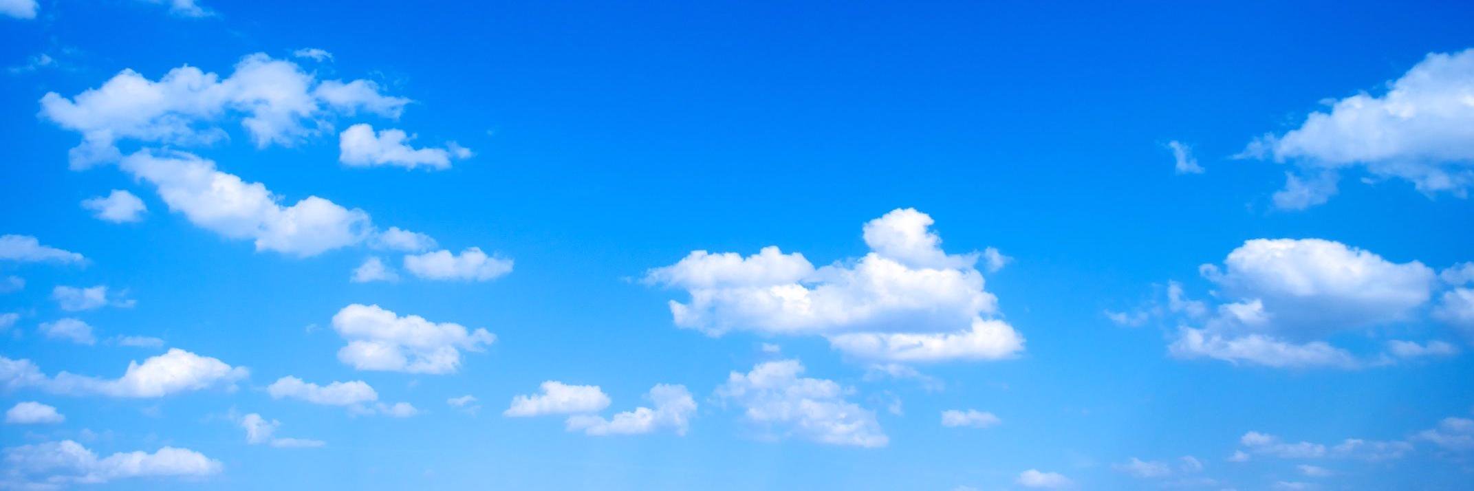 Amy Rogers banner