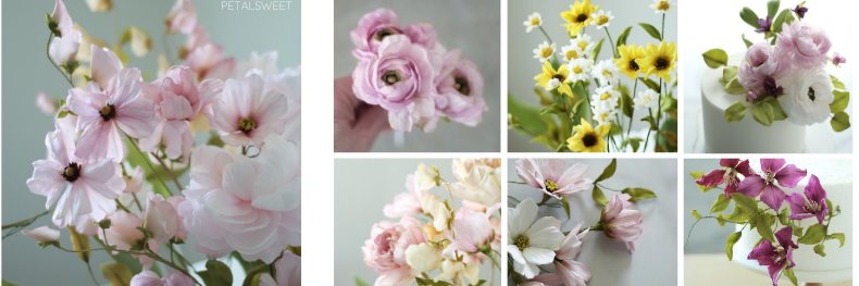 PetalsweetCakes's profile banner image