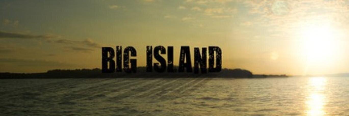 Big Island MN banner