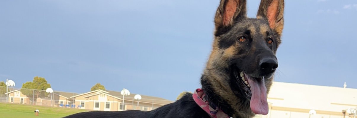 sl0meli's profile banner image