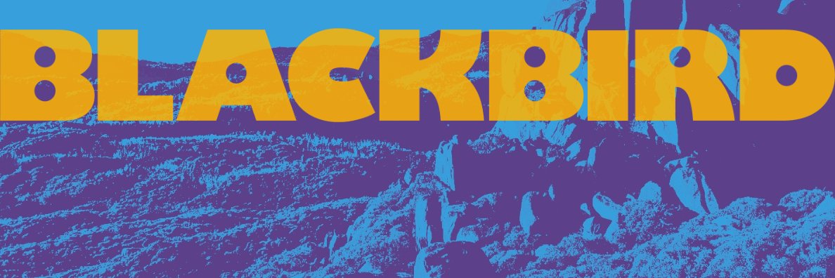 Phoebe Harrop banner