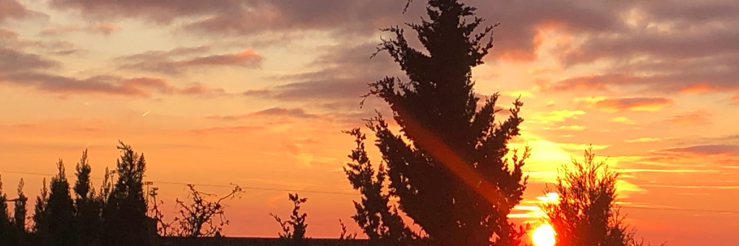 nin17954's profile banner image