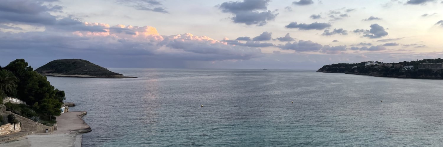 malinkardell's profile banner image