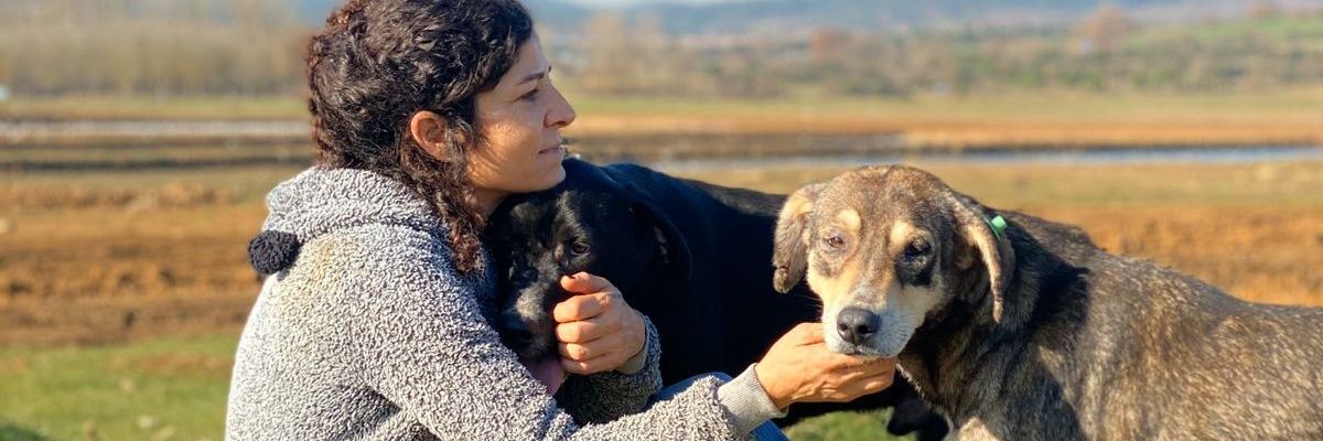 IskinAlci's profile banner image