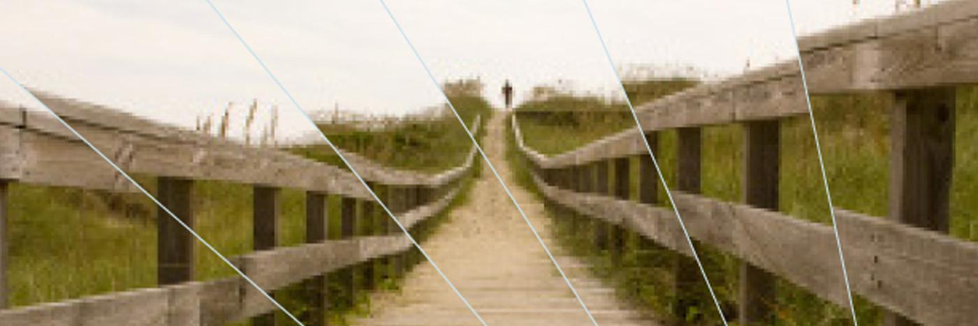 TheRealKitReed's profile banner image