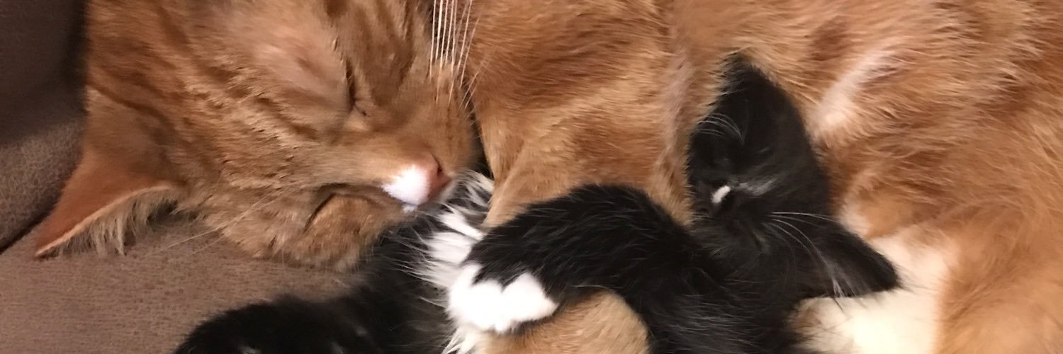 JessicaSinead's profile banner image