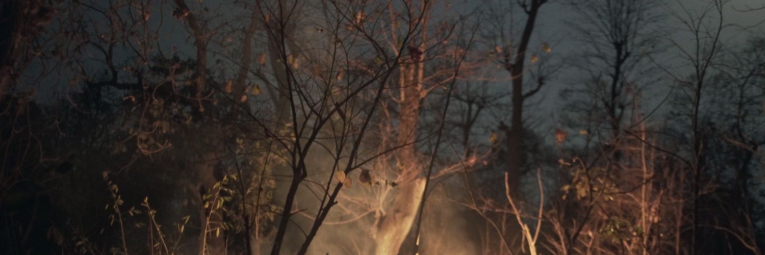 larinaldisa's profile banner image