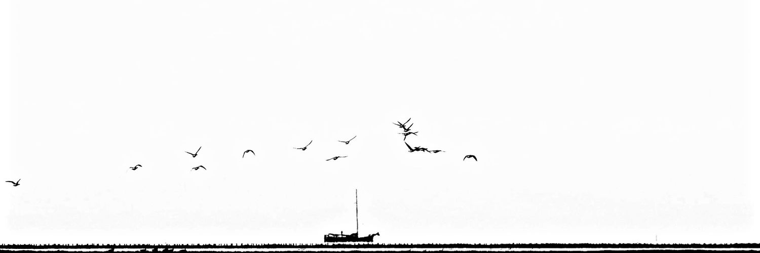 rhsmedema's profile banner image