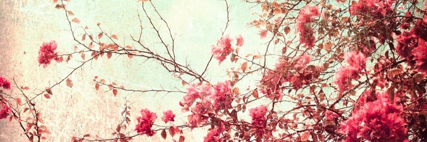 seeifiamwrong's profile banner image
