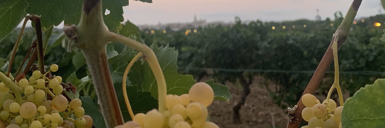 marcoimolina's profile banner image