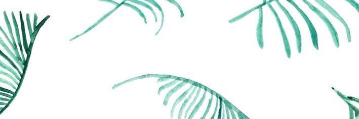kizkan_'s profile banner image