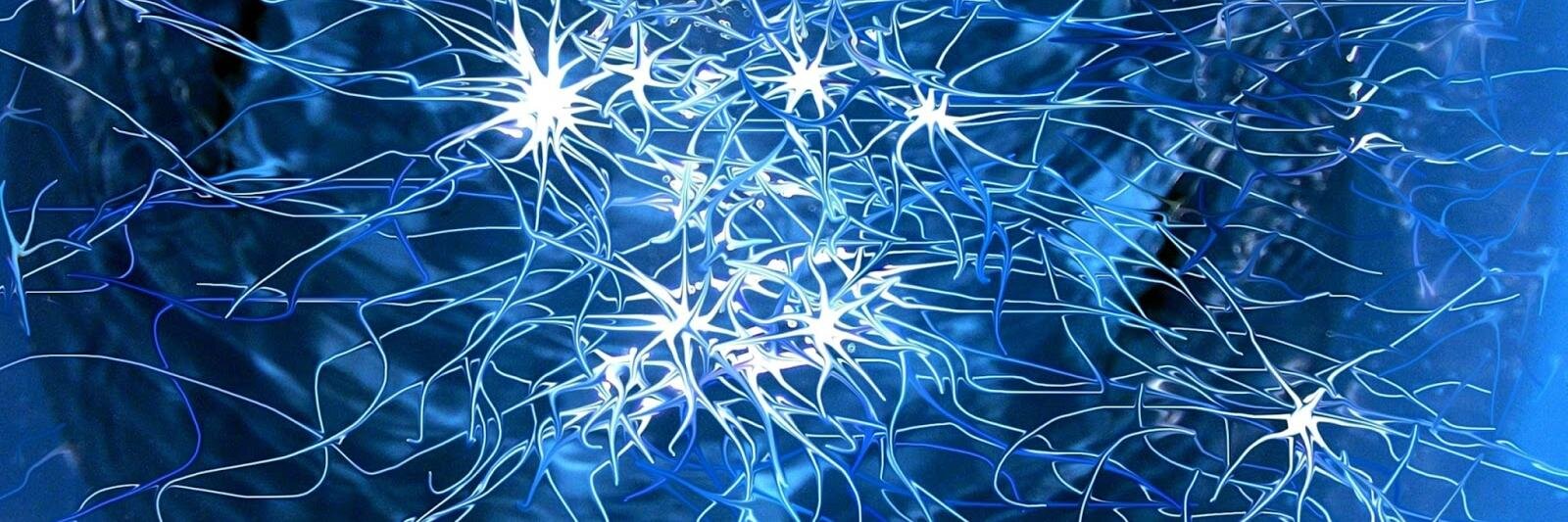 Kyle Penfound banner