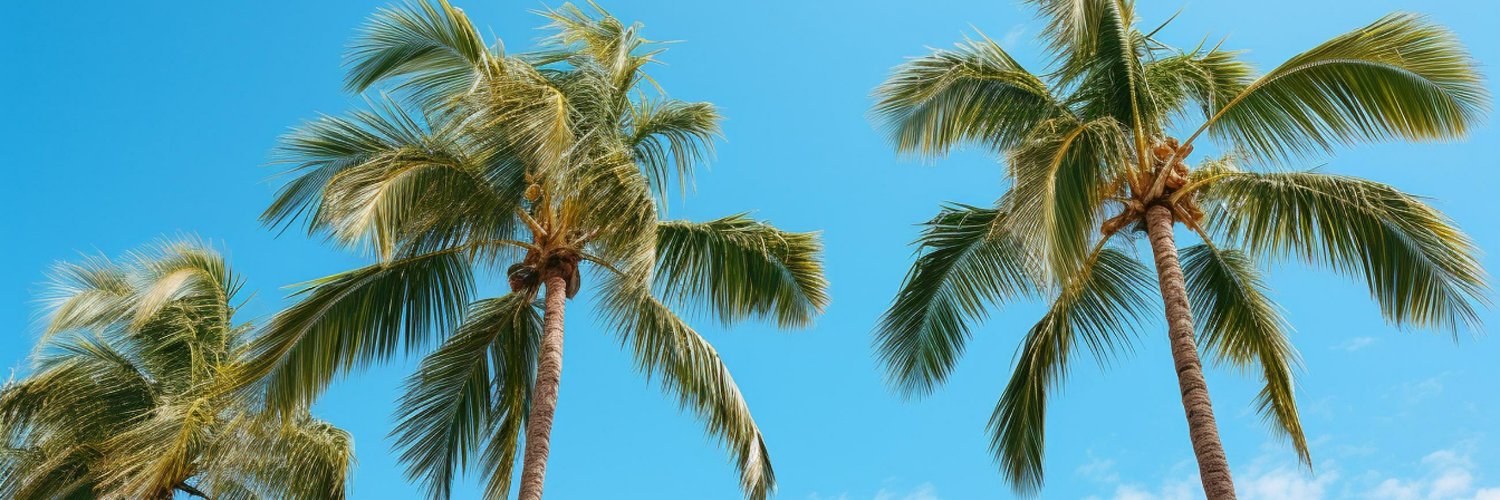 BocaRecreation's profile banner image