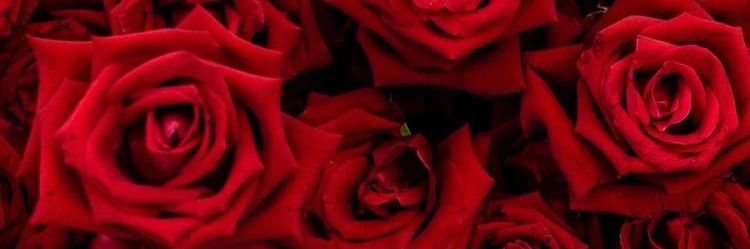 Jessica_JDR's profile banner image