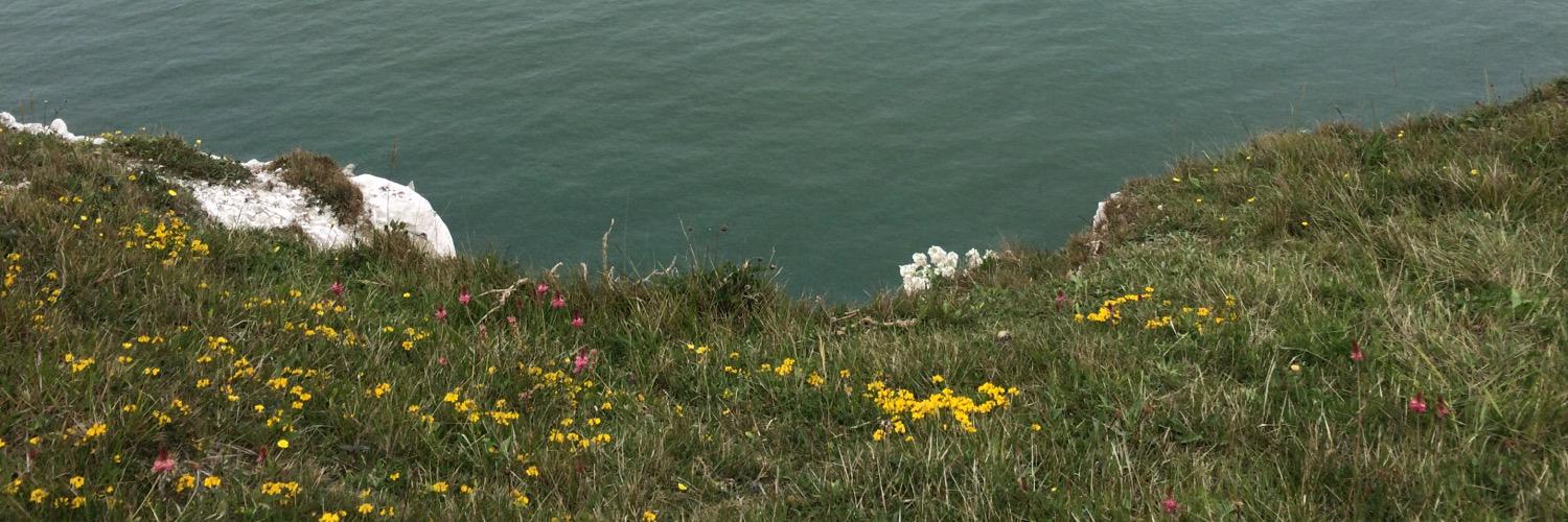 HelenJames84's profile banner image