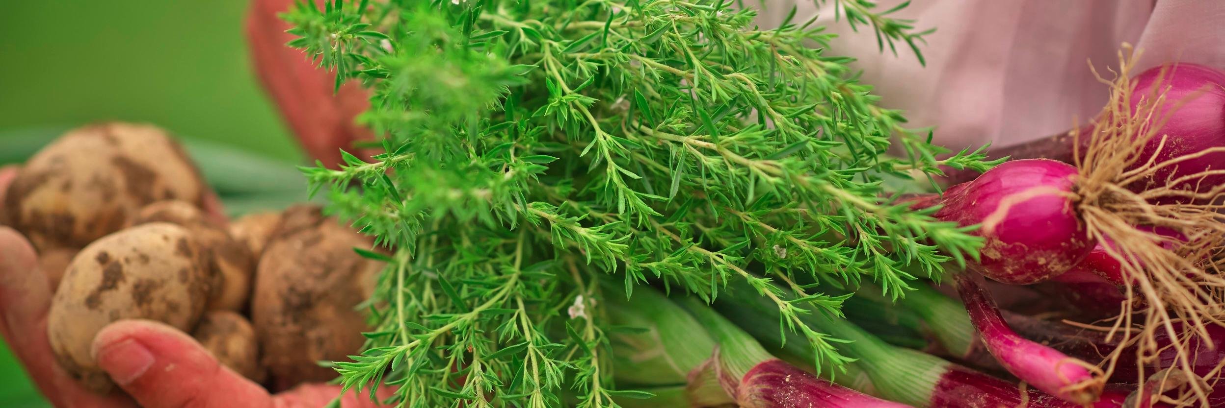 Bard College Farm banner