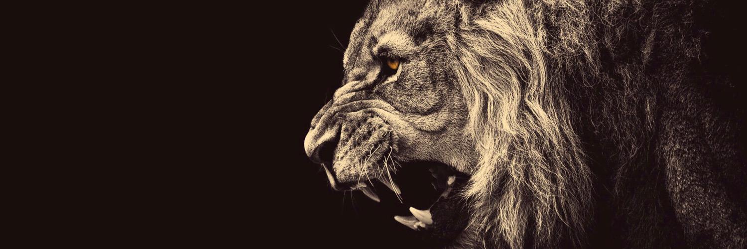 Sebitass_7's profile banner image