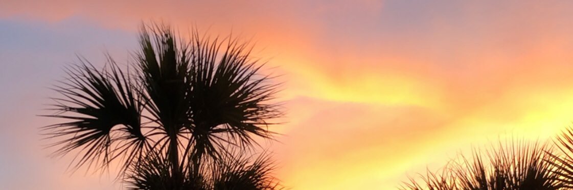 Megan_Lowe15's profile banner image