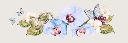 SaRaShBnAt's profile banner image