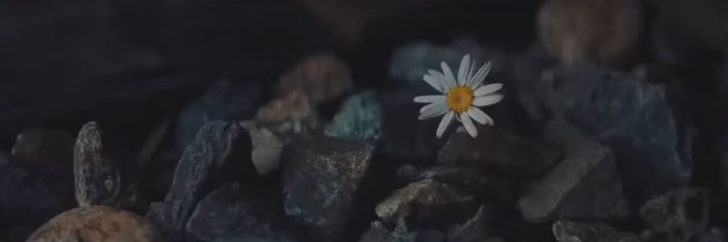 Sunless ❤️‍🩹 banner